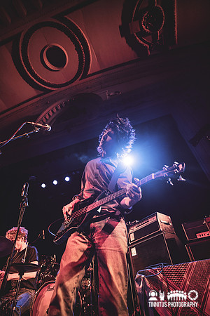 Alien Nosejob in concert