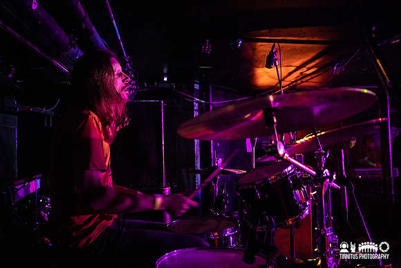 Elder in concert