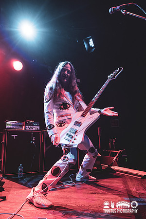 Melvins in concert