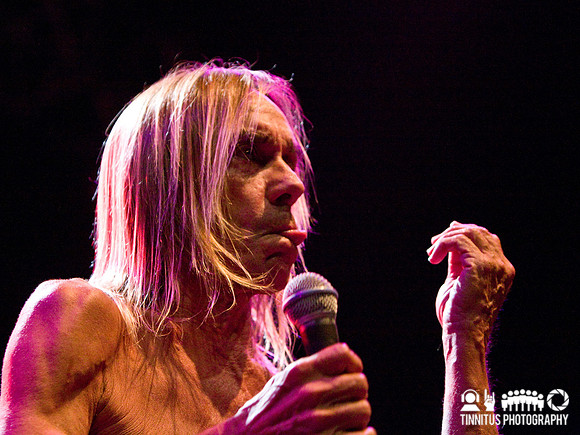 The Stooges in concert