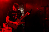 Oldblood in concert