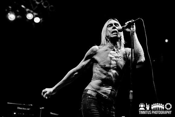 The Stooges in concert