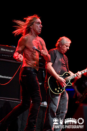 The Stooges in concert