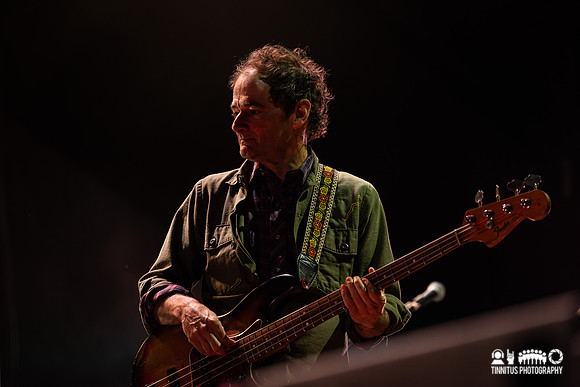 Wilco in concert