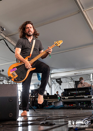 Dinosaur Jr. in concert