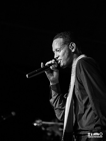 Debo Band in concert