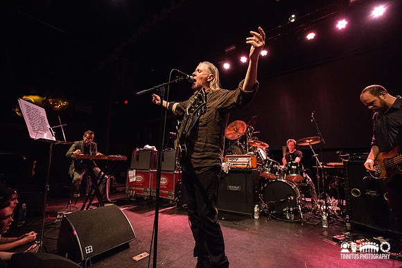 Swans in concert