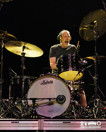 The Jesus Lizard in concert
