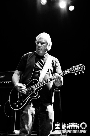 The Stooges in concert