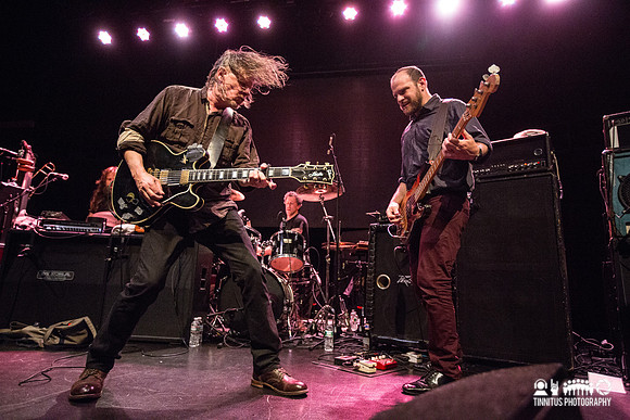 Swans in concert