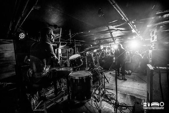 Elder in concert