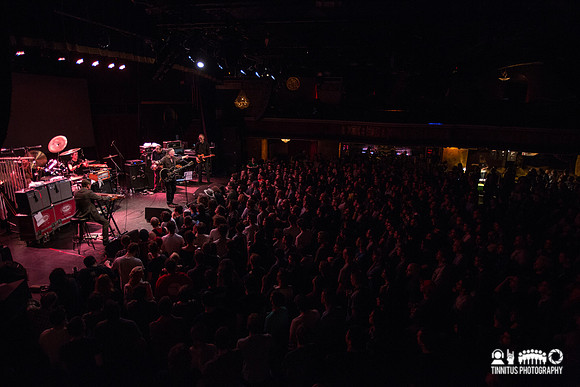 Swans in concert