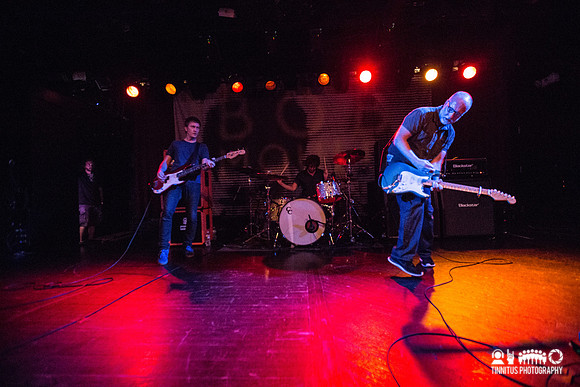Bob Mould in concert